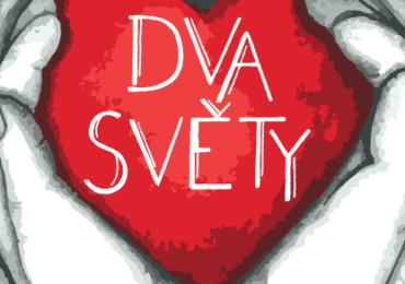 VYÚČTOVÁNÍ VEŘEJNÉ SBÍRKY